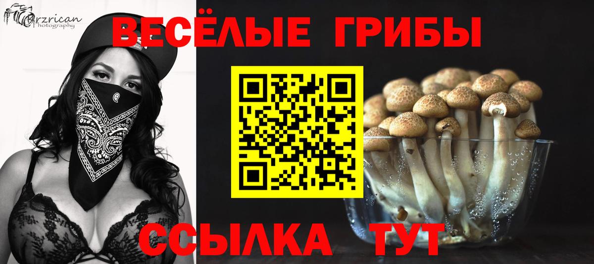 Галлюциногенные грибы Cubensis Михайловка
